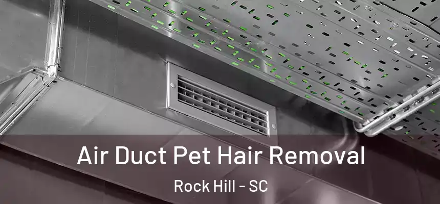 Air Duct Pet Hair Removal Rock Hill - SC