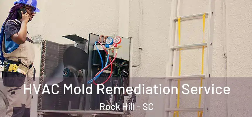  HVAC Mold Remediation Service Rock Hill - SC