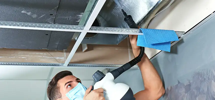 Our Air Duct Rodent Removal Services in Rock Hill, SC