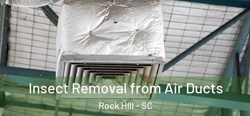  Insect Removal from Air Ducts Rock Hill - SC