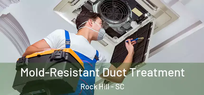 Mold-Resistant Duct Treatment Rock Hill - SC
