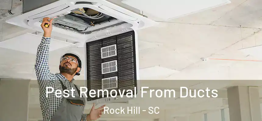 Pest Removal From Ducts Rock Hill - SC