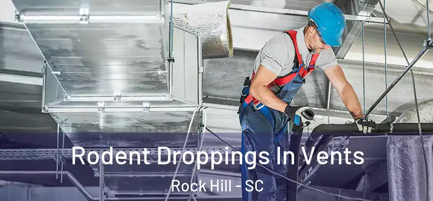  Rodent Droppings In Vents Rock Hill - SC