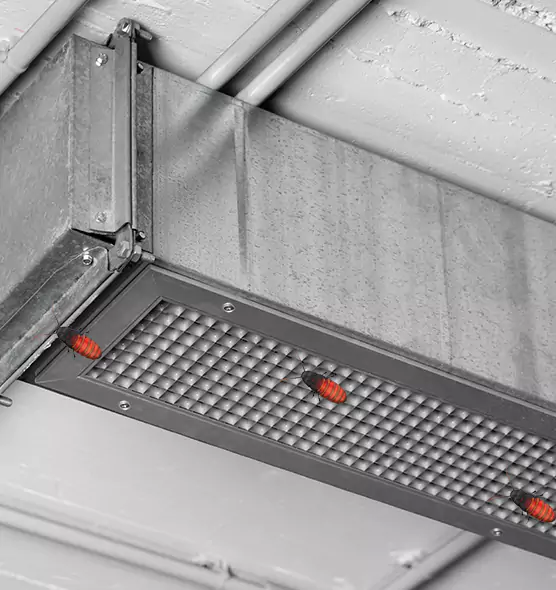 Affordable Insect Removal from Air Ducts in Rock Hill, SC