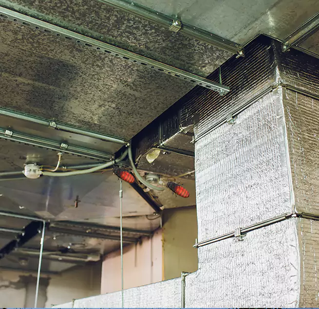 Why Homeowners & Businesses Trust Us in Rock Hill, SC?