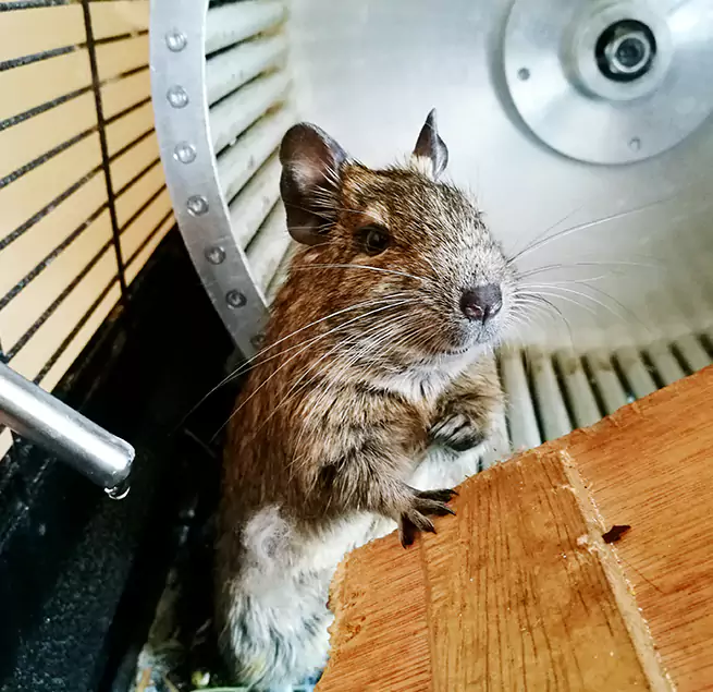 Why Homeowners & Businesses Trust Us Rock Hill, SC