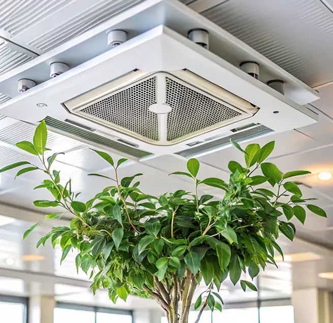 Why Homeowners & Businesses Trust Us in Rock Hill, SC?